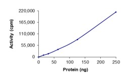 Sino Biological&nbsp;Recombinant Human TPR & TRKA (TRK-T1) Protein (GST Tag), Active